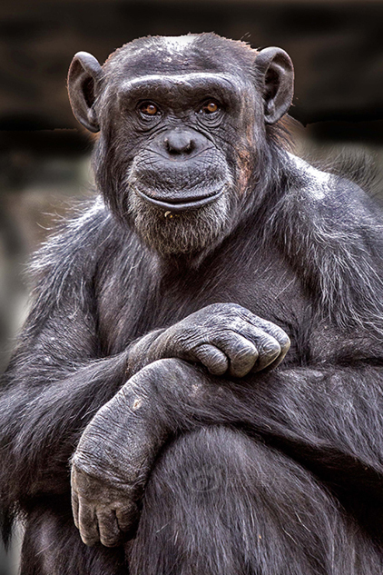 楼市,车市,基建:经济持续低迷,中国式刺激再现江湖