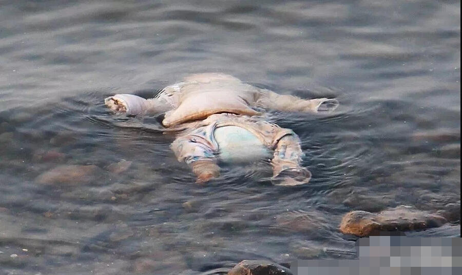 湖北清江发现一具婴儿尸体