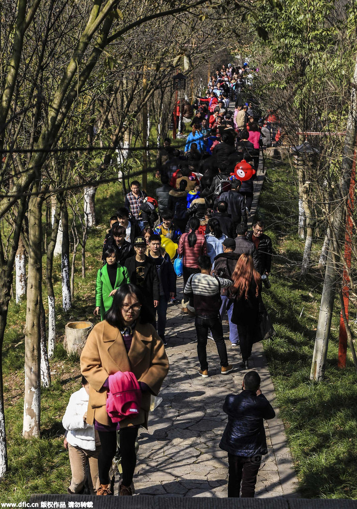 重庆云阳万人登梯过新年