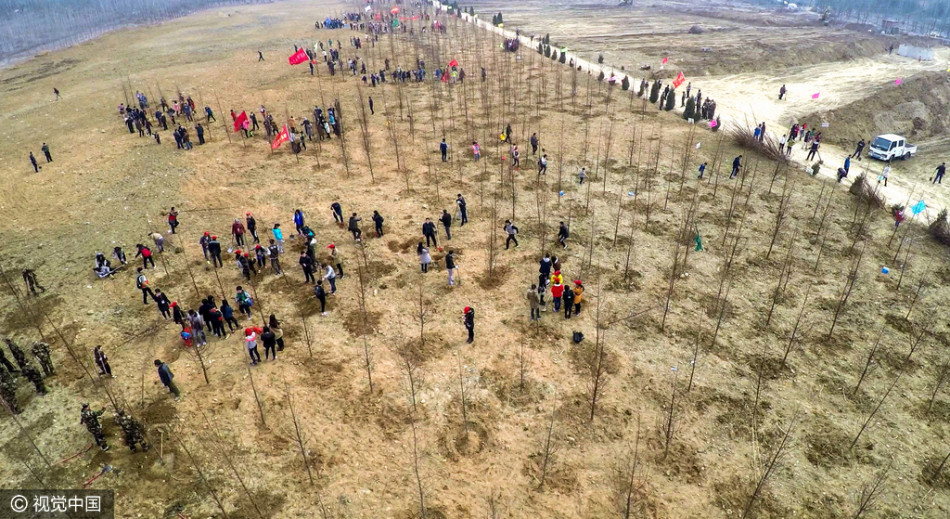 航拍万人植树大军