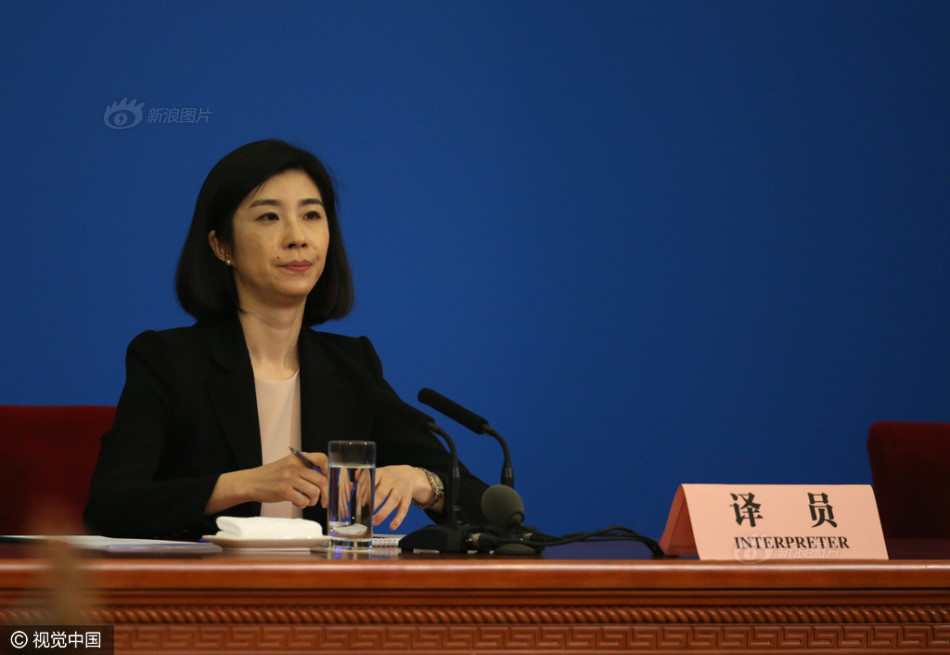 美女翻译张璐七年六上总理记者会_高清图集_新浪网