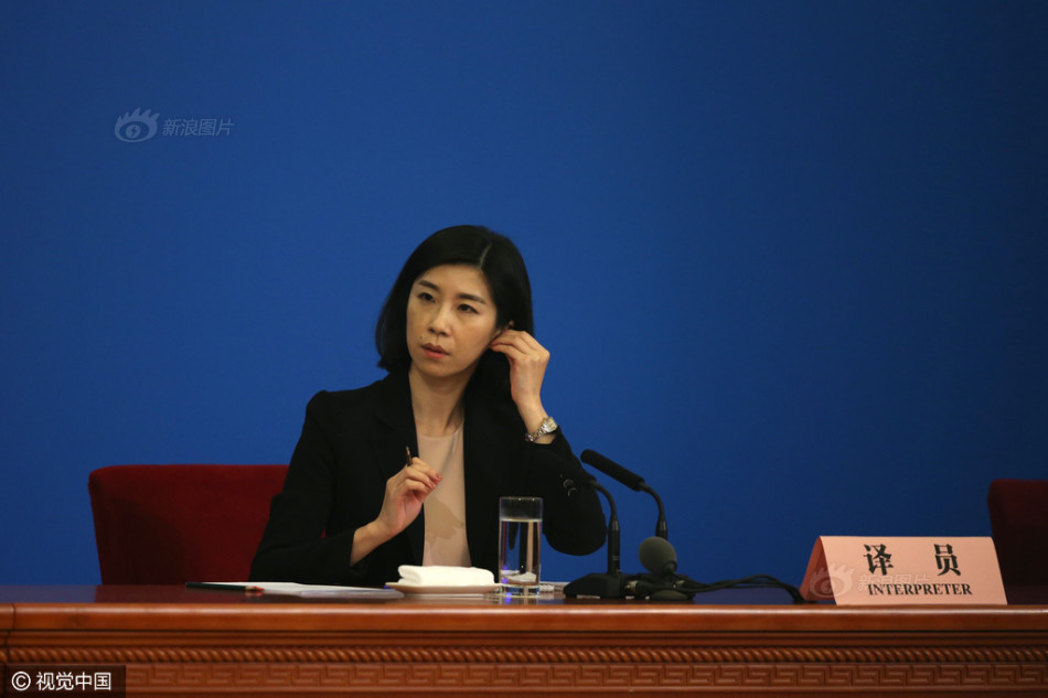 美女翻译张璐七年六上总理记者会_高清图集_新浪网
