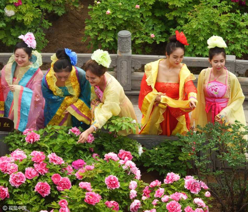 洛阳现"古代"美女赏牡丹