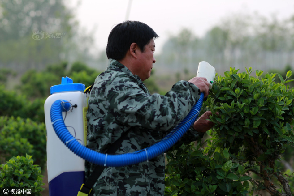 农民发明金银花采摘机