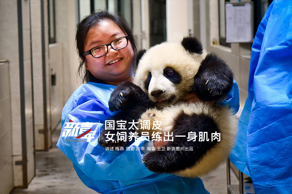 80后女熊猫饲养员