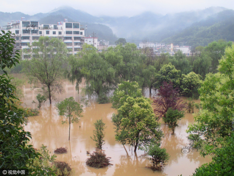 安泽洪水图片