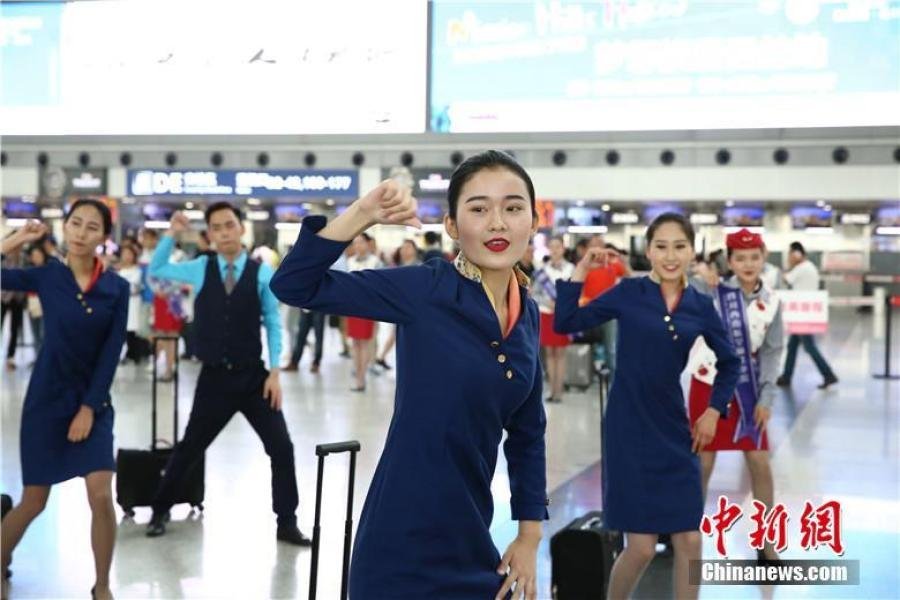 澳门经济总量 2021_2021年澳门跑狗图