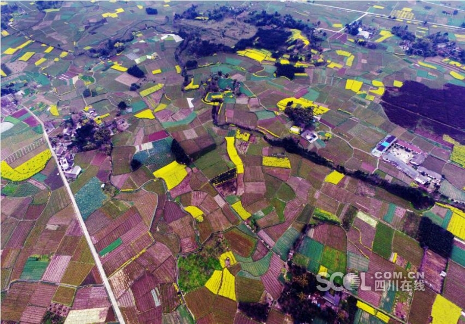 航拍四川盆地 犹如大自然的调色板