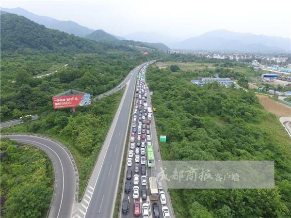 采摘大军挤爆都汶高速 车流排成河一眼望不到头