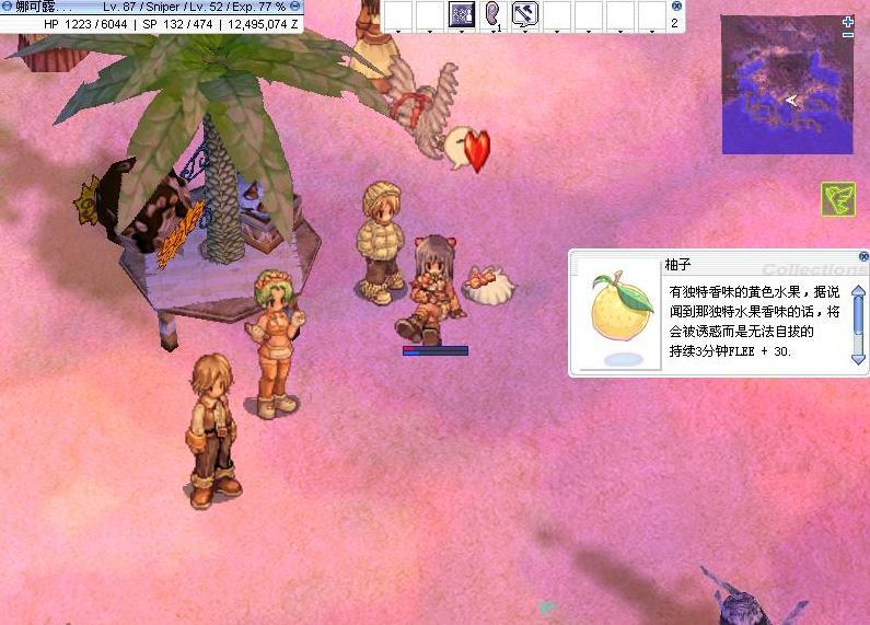 《仙境传说》游戏评测截图 CGWR分数：8.4分