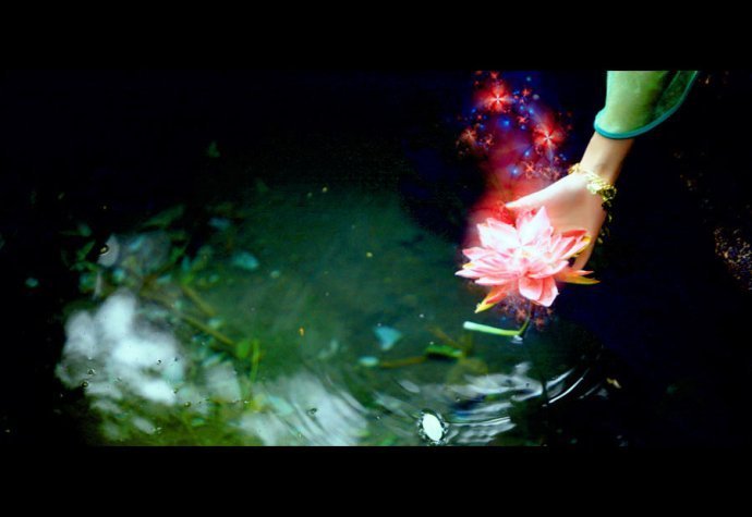 碧瑶贴身法宝伤心花