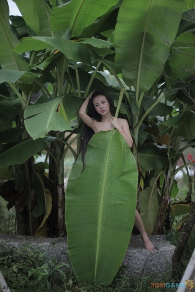 放开那片芭蕉叶!干露露再曝最新裸照挑战尺度_高清图集_新浪网