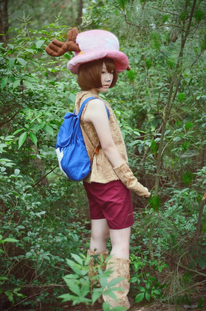 cosplay专辑 > 《海贼王》乔巴cos
