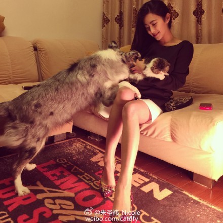 全民老公王思聪与游戏嫩模朱圣祎的撕逼大战