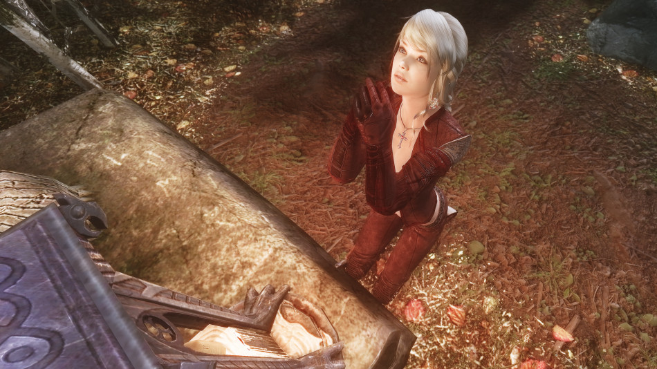 《上古卷轴5》女体mod图赏