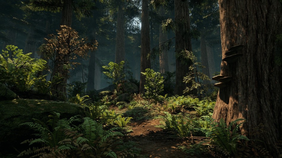 设计师用虚幻4打造森林地图