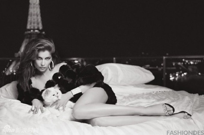 老佛爷爱猫时尚大片