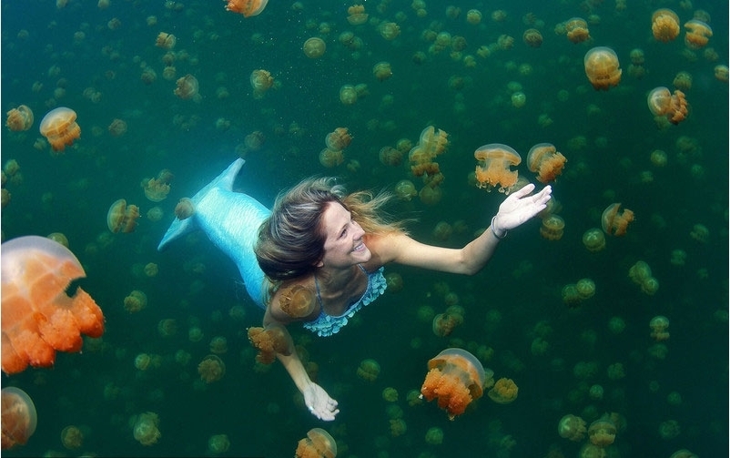 美女与鲨鱼共舞化身"美人鱼"