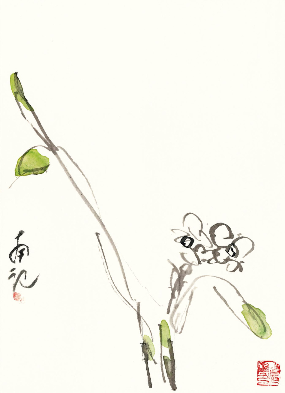 精于写意花鸟画.