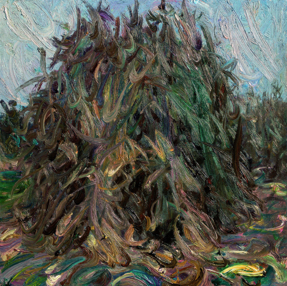 靳之林家乡艺术大展