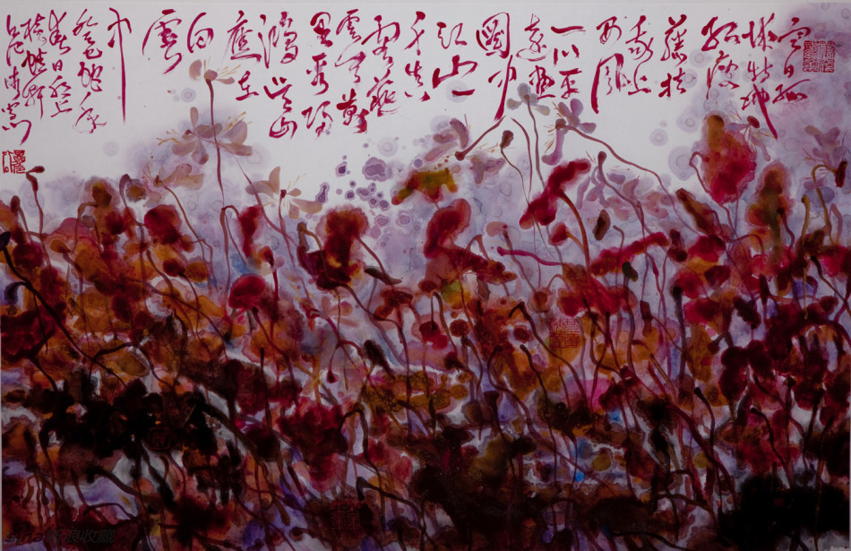 聂危谷荷花系列(154/170)