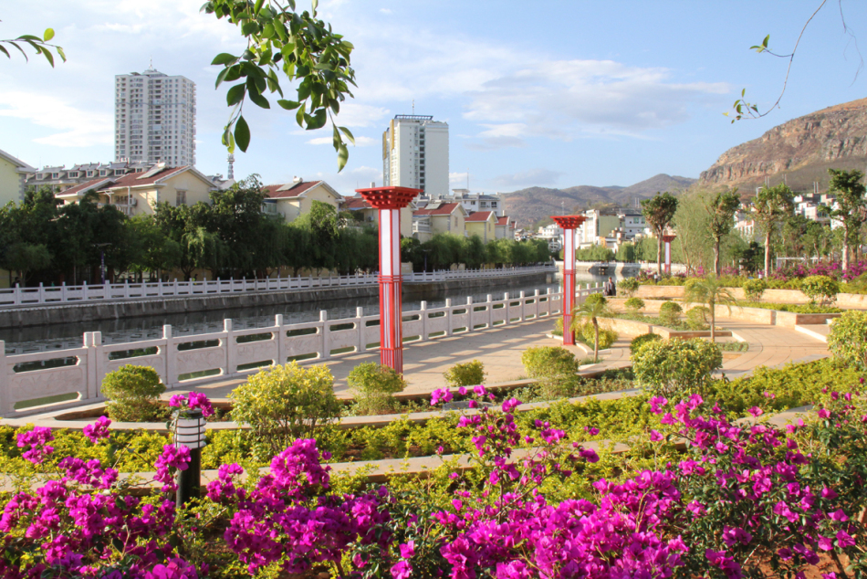 华坪县城春意浓(杨开清 图文)