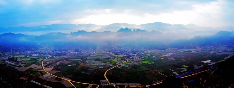 西畴鸡街么所古榕树