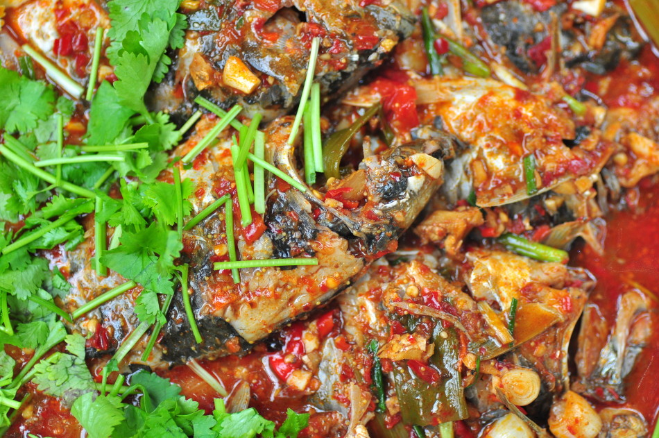 大理沙坝鱼_高清图集_新浪网