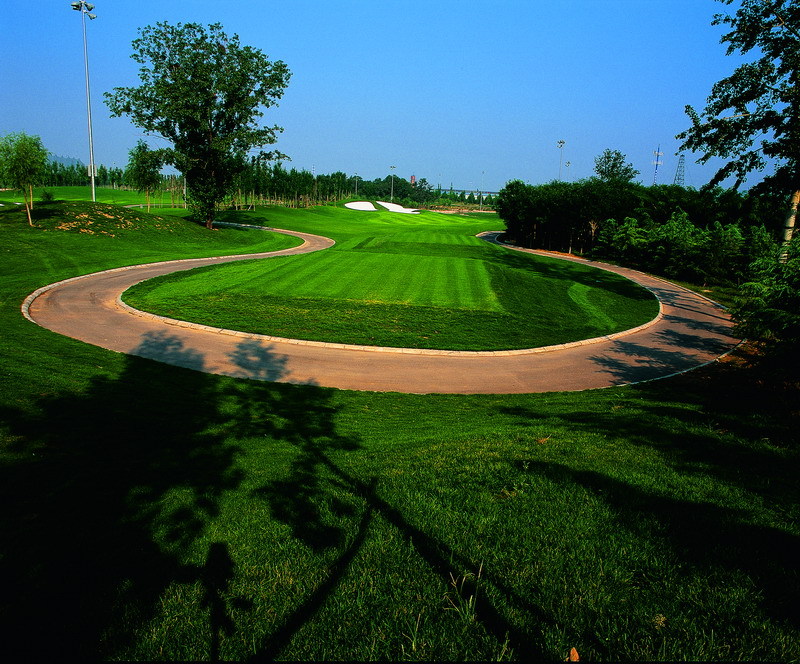 营造最优美的球场景观