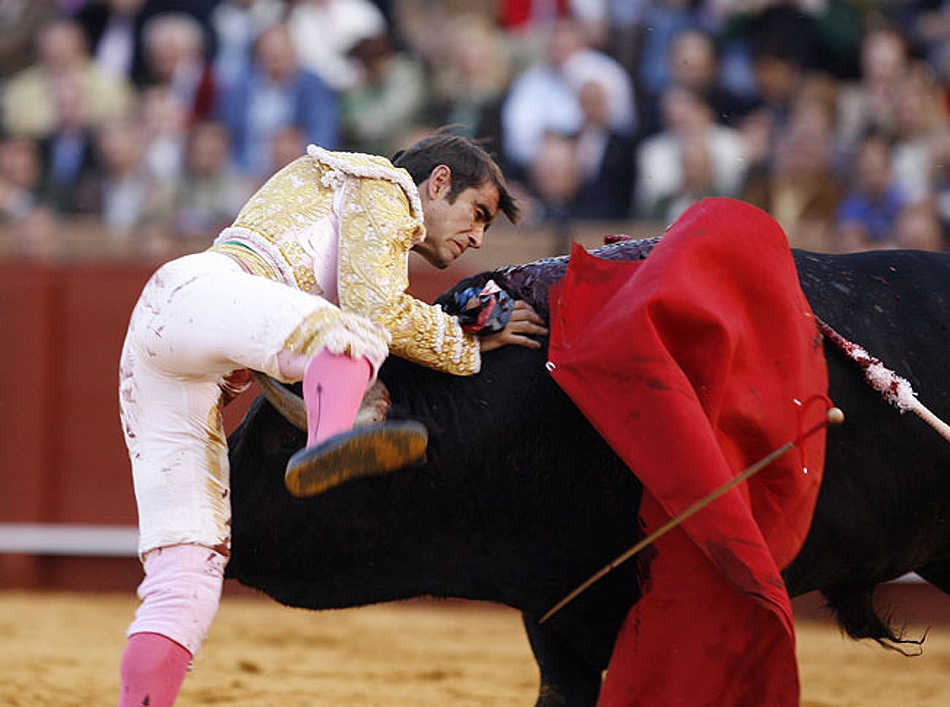 墨西哥斗牛士身负重伤_高清图集_新浪网