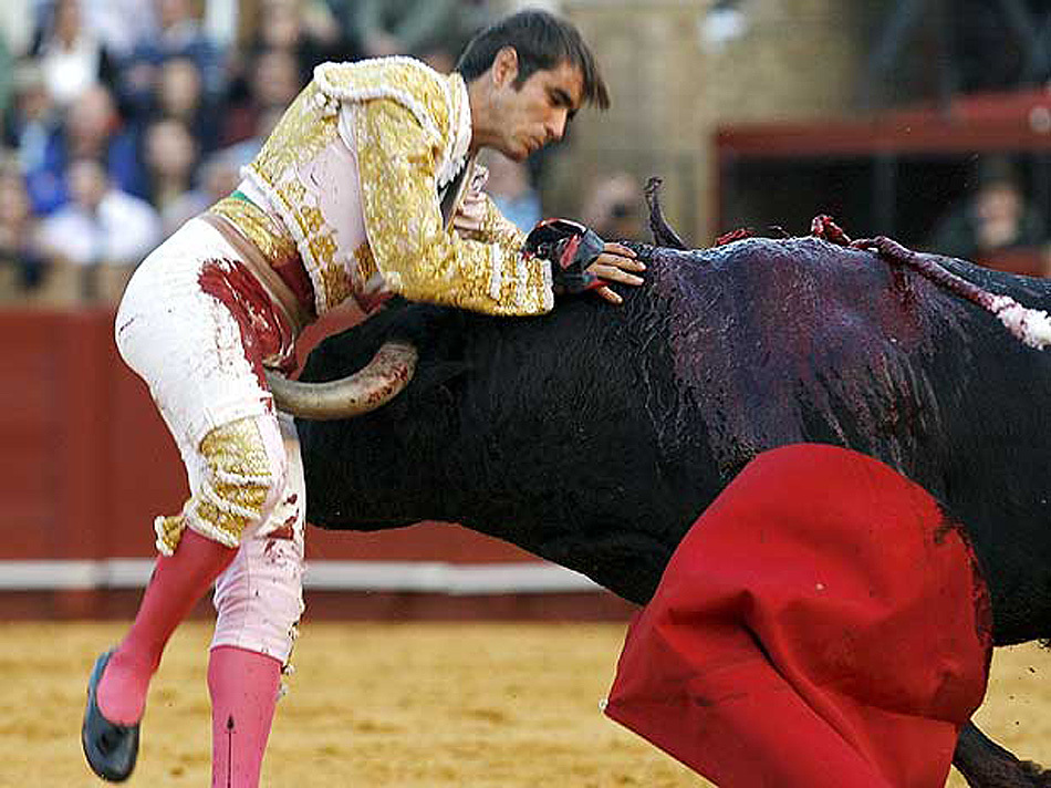 这位墨西哥帅哥的腹股沟被牛角戳中,随即被送往医院,目前还没有确认