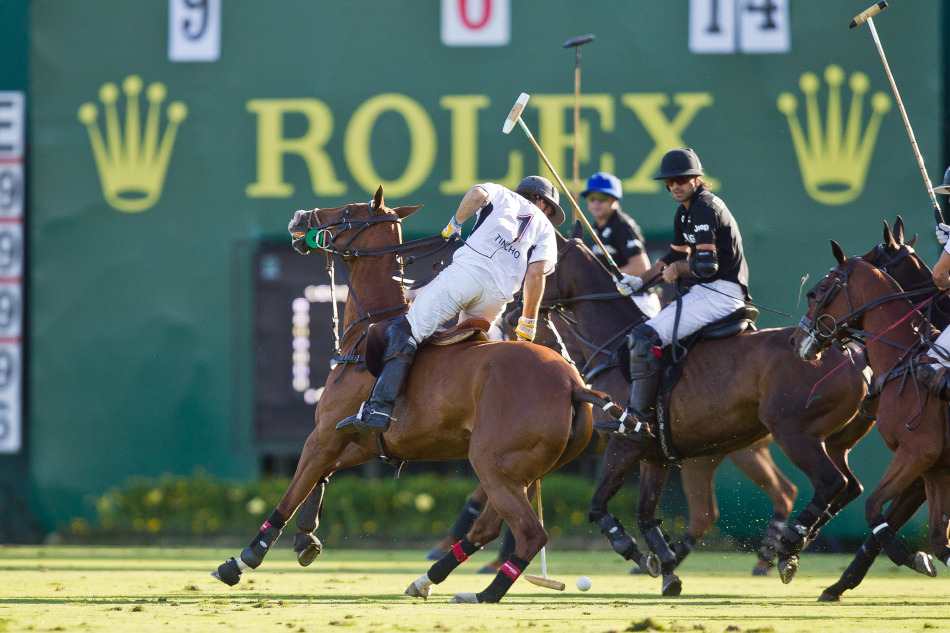 第118届阿根廷马球公开赛_高清图集_新浪网