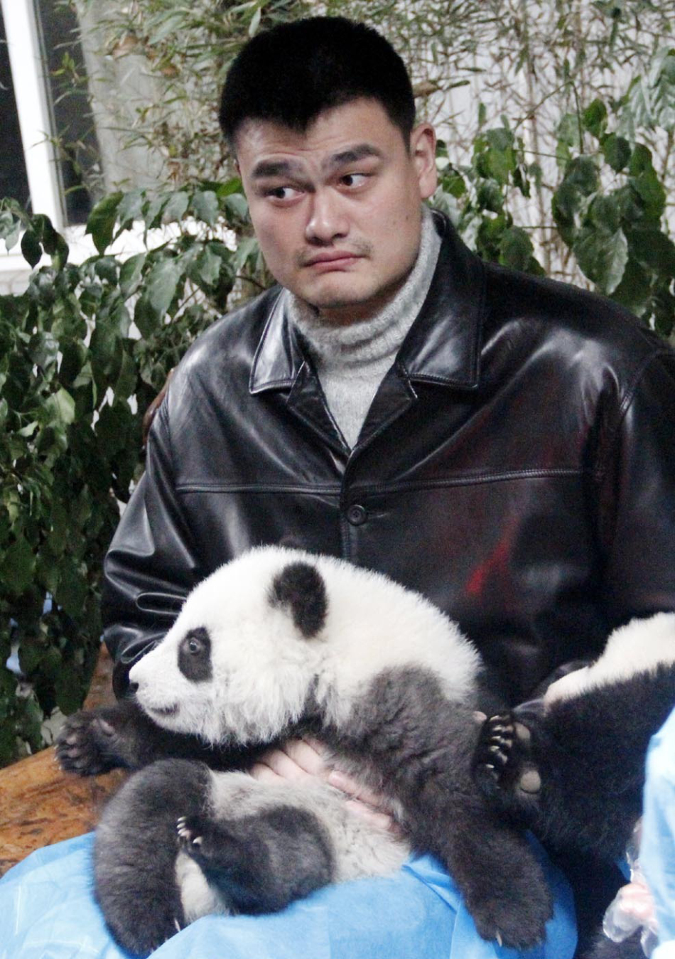 姚明与妻子怀抱熊猫