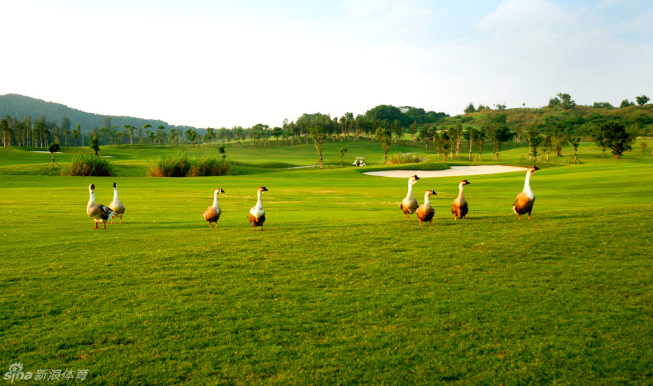 北海海门高尔夫球会_高清图集_新浪网