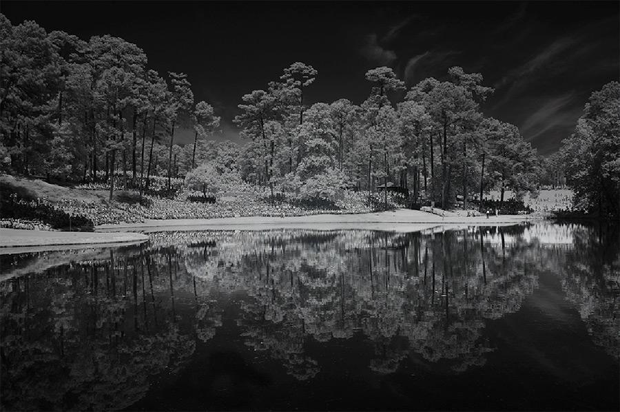 红外滤镜下的奥古斯塔_高清图集_新浪网