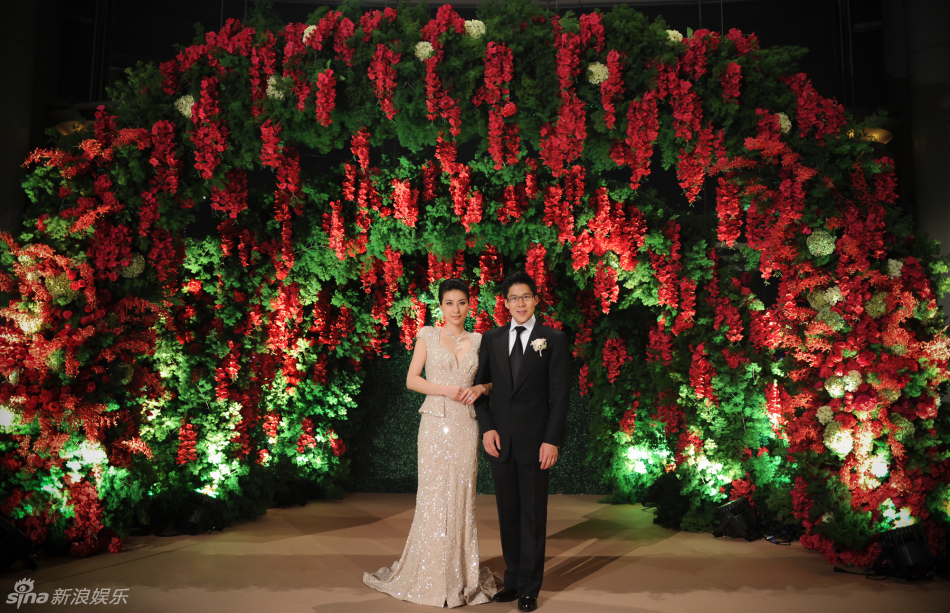 晶刚连婚4日全回顾