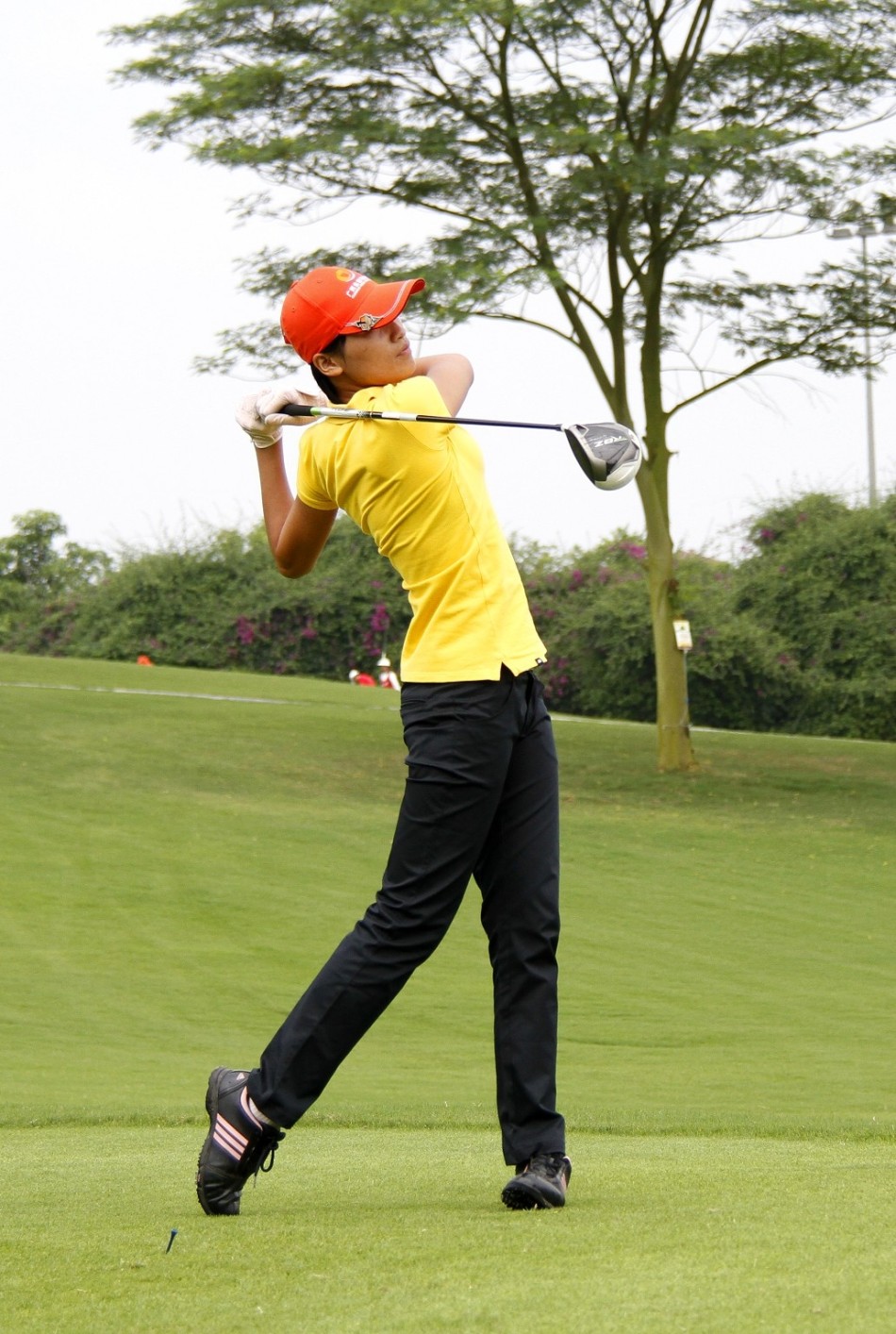 广西业余高尔夫巡回赛