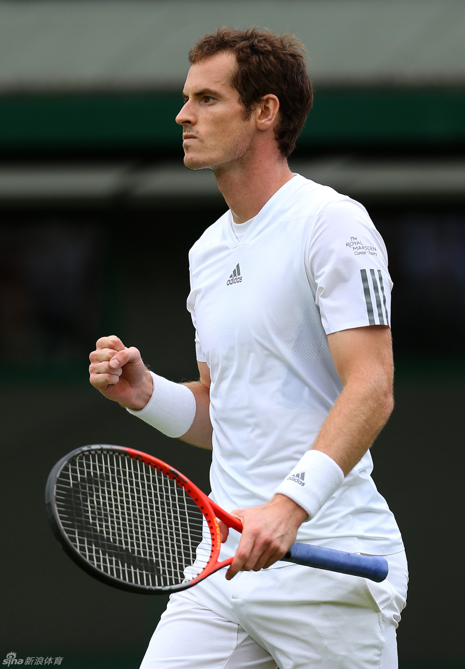 穆雷握拳庆祝胜利