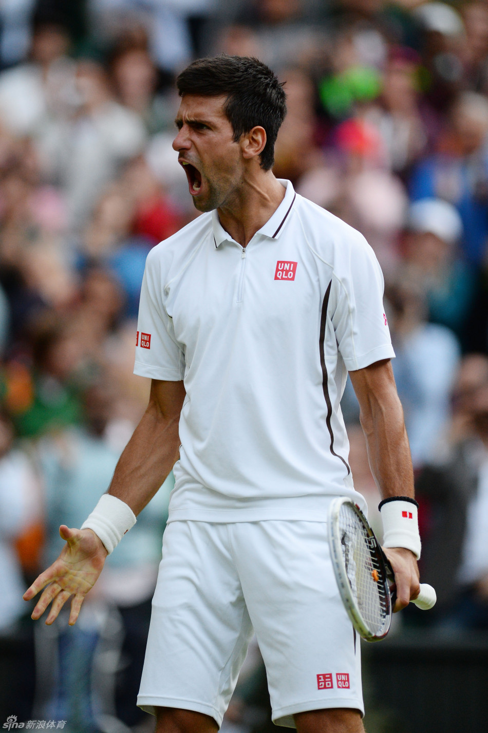 温网小德完胜哈斯进8强