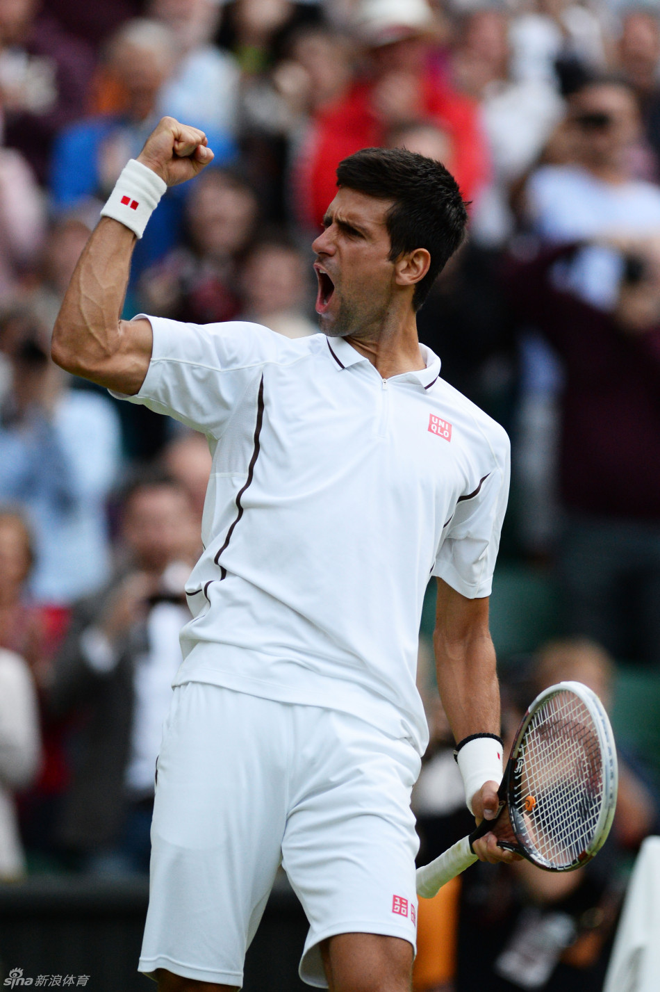 温网小德完胜哈斯进8强