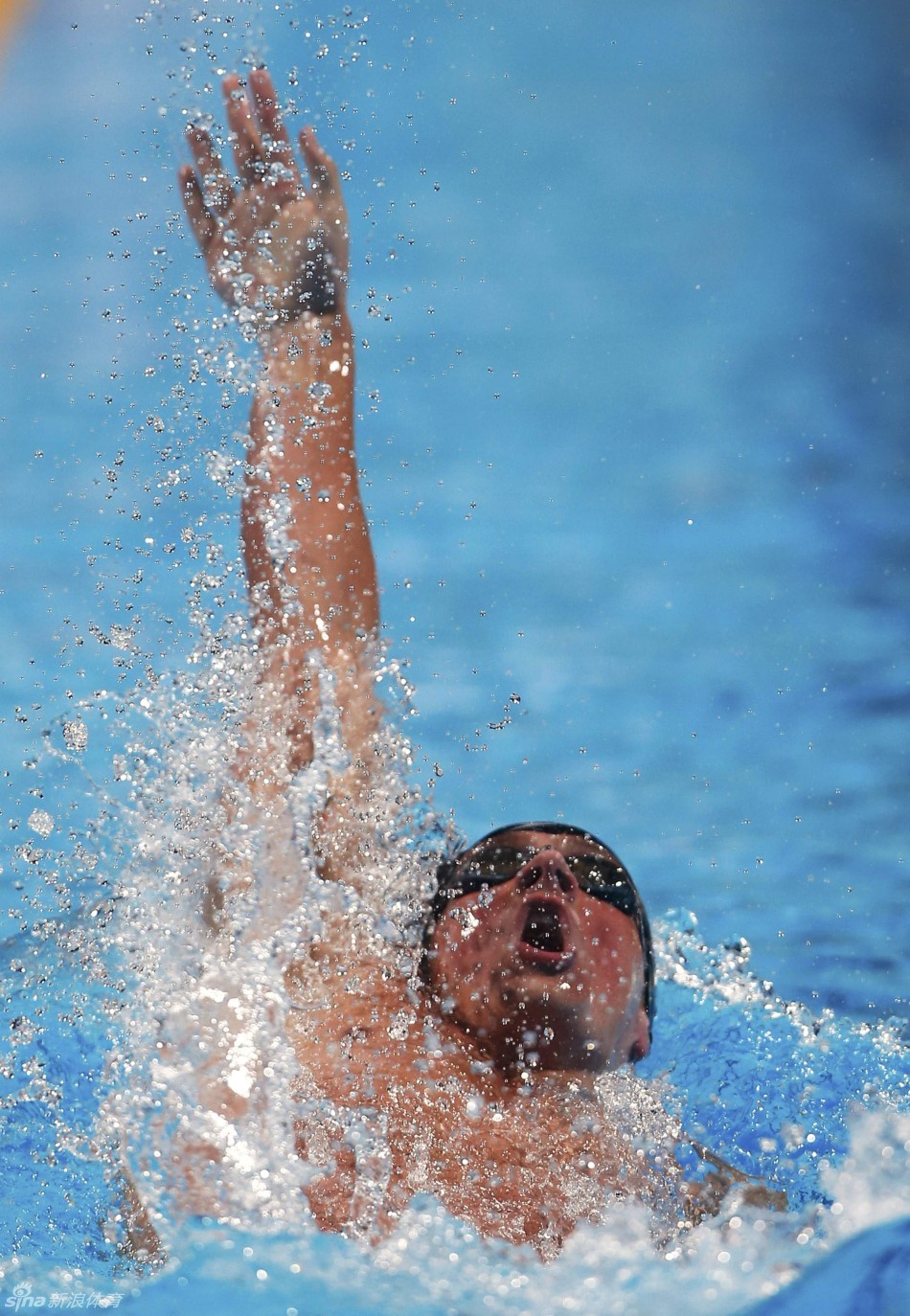 游泳世锦赛第13日赛况_高清图集_新浪网