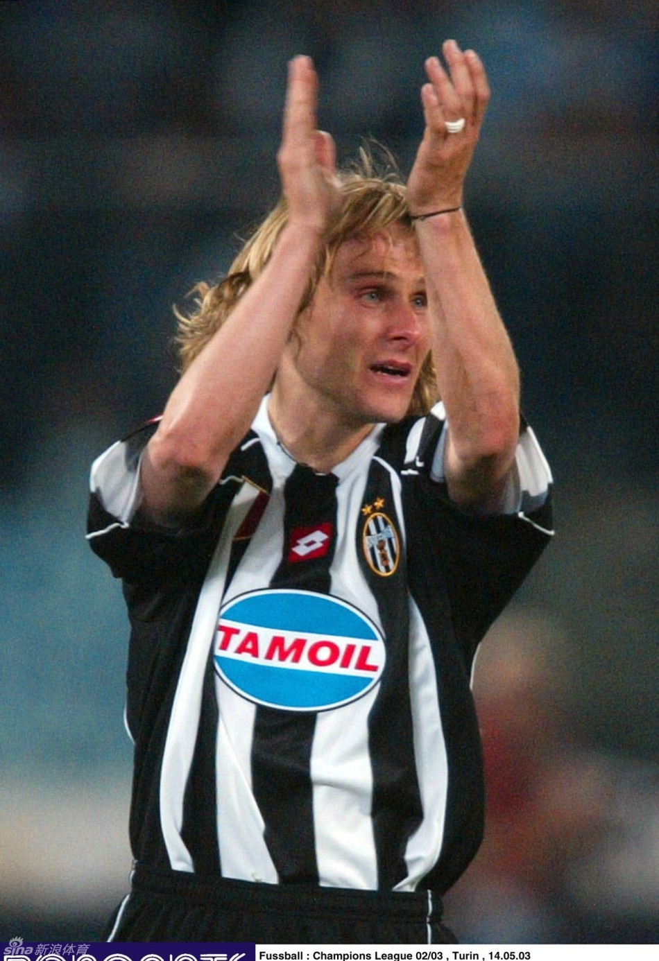 经典老图之内德维德_高清图集_新浪网