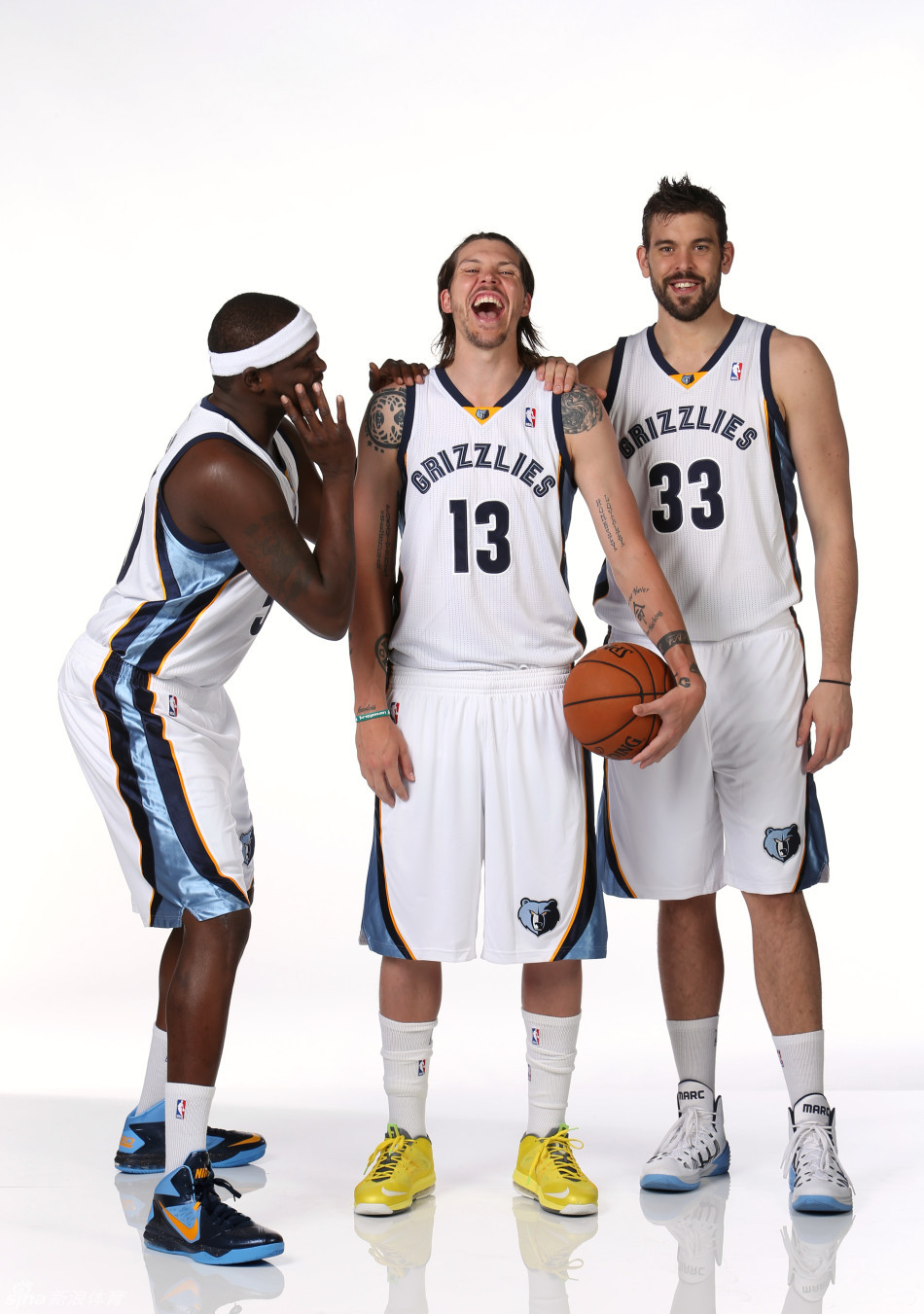 灰熊媒体日黑白双熊正照_高清图集_新浪网