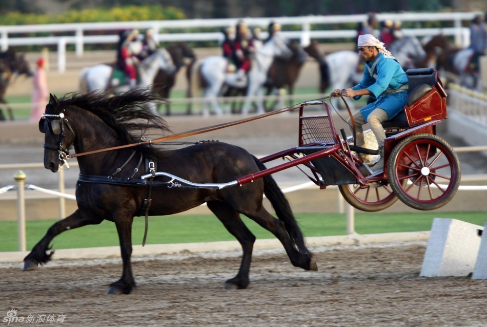 阿曼皇家骑兵展上演高超马术_高清图集_新浪网