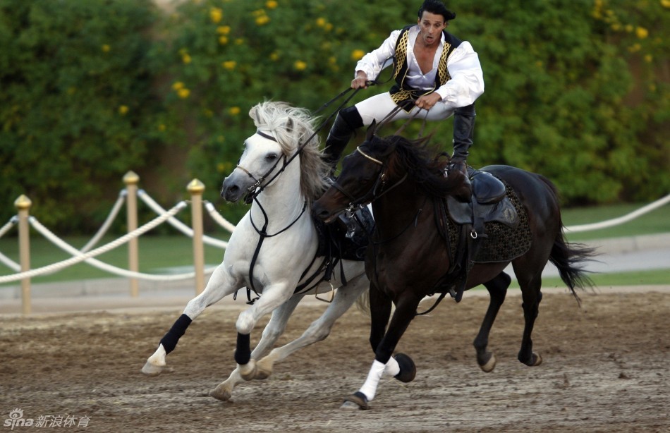 阿曼皇家骑兵展上演高超马术_高清图集_新浪网