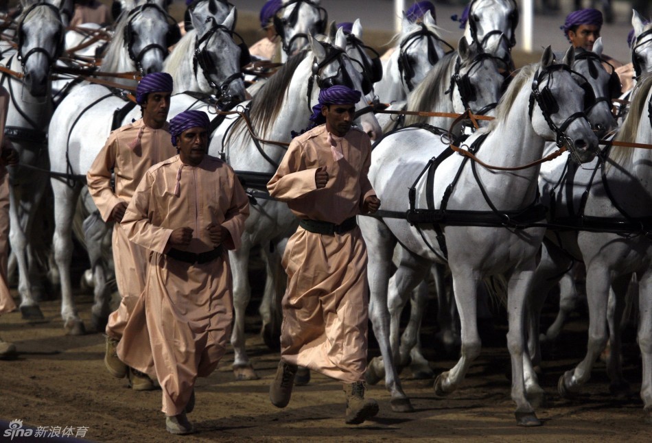 阿曼皇家骑兵展上演高超马术_高清图集_新浪网