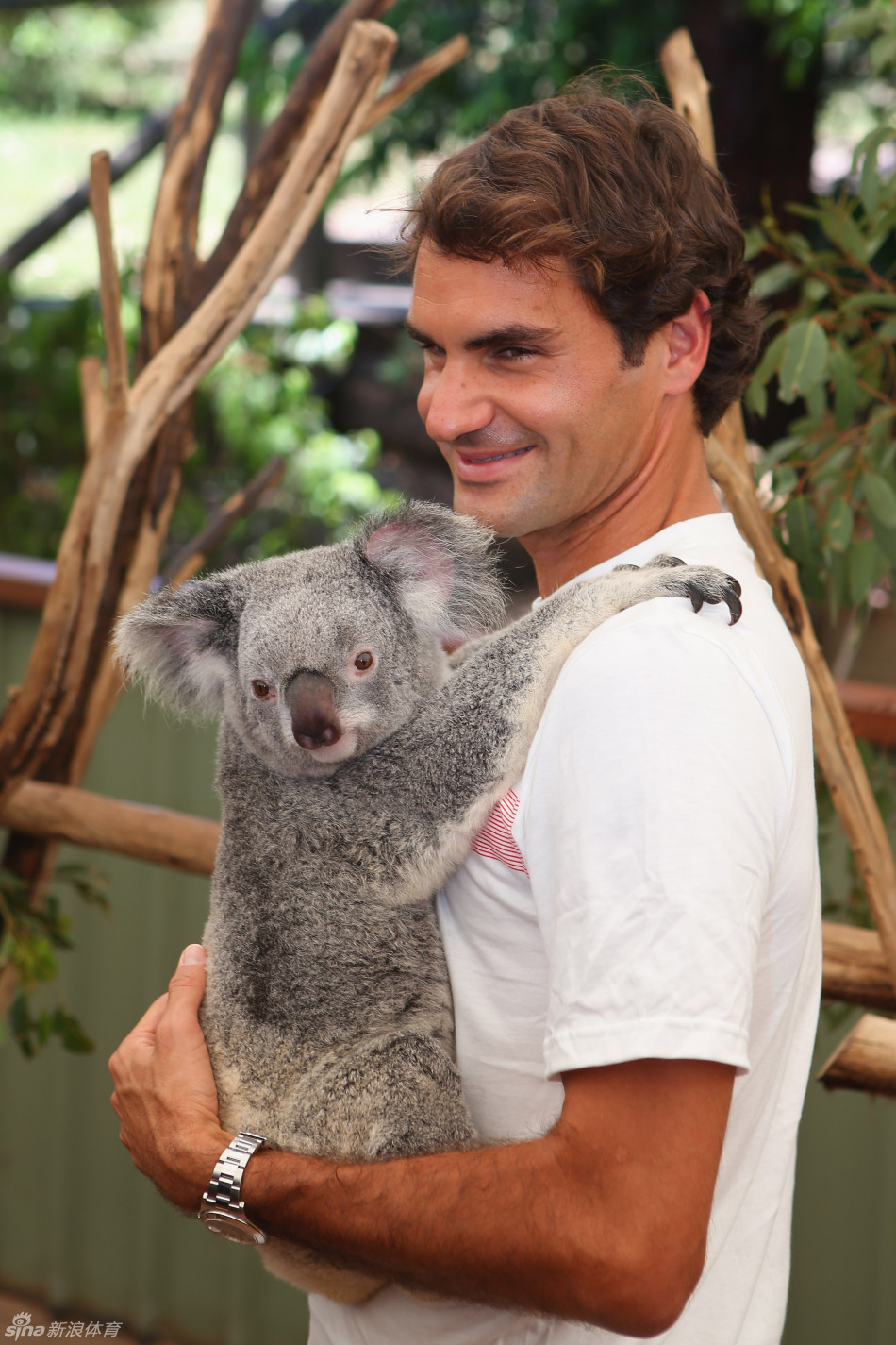 费德勒与考拉拍摄合影_高清图集_新浪网