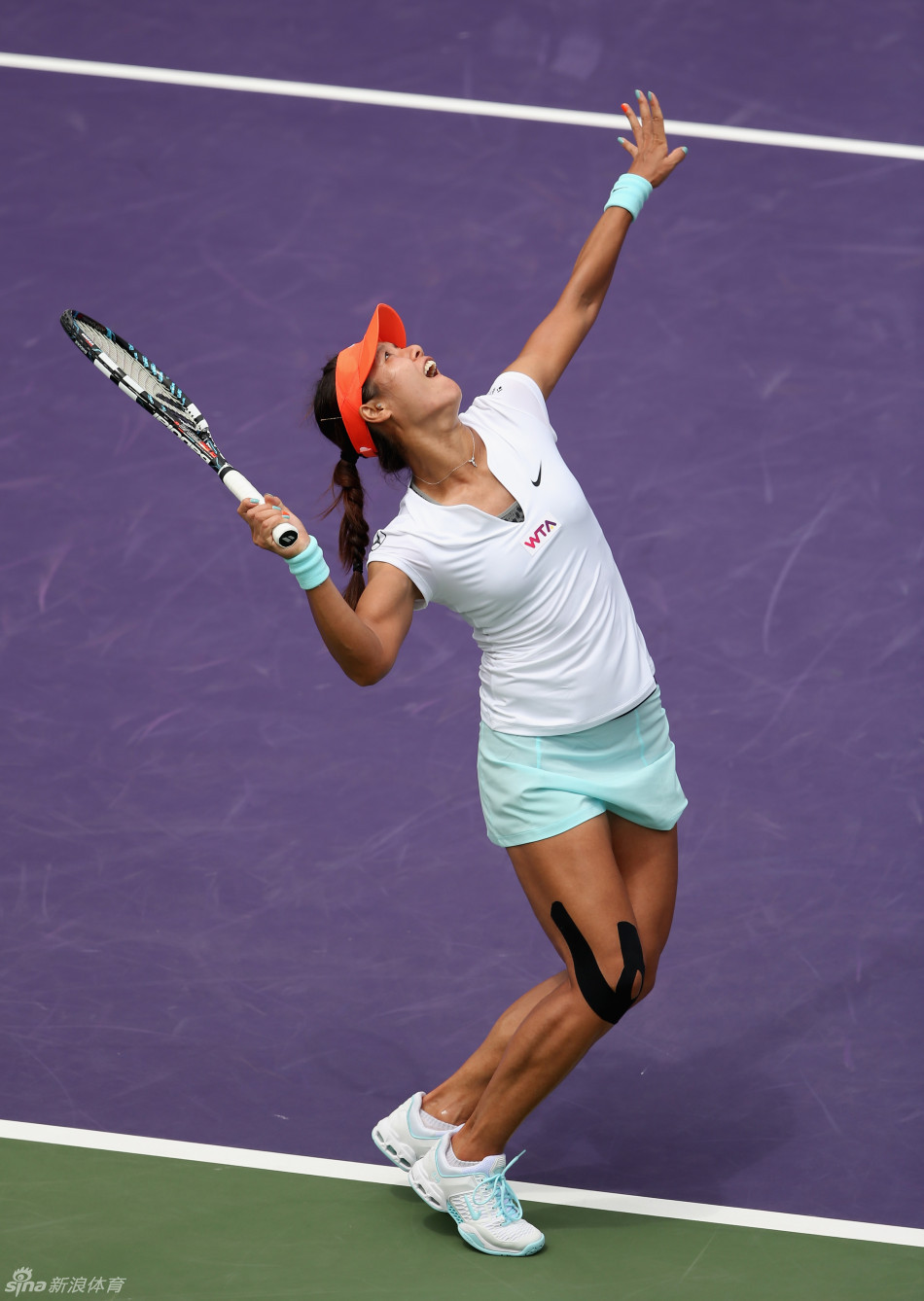 索尼赛李娜不敌小威获亚军_高清图集_新浪网