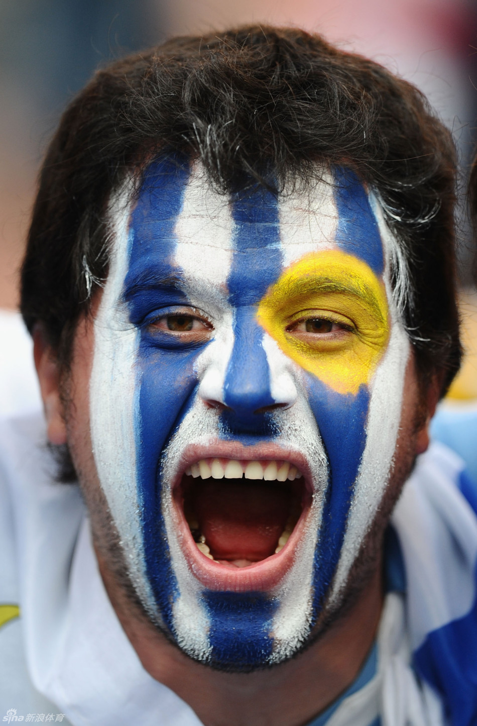 巴西世界杯32强球迷脸谱_高清图集_新浪网