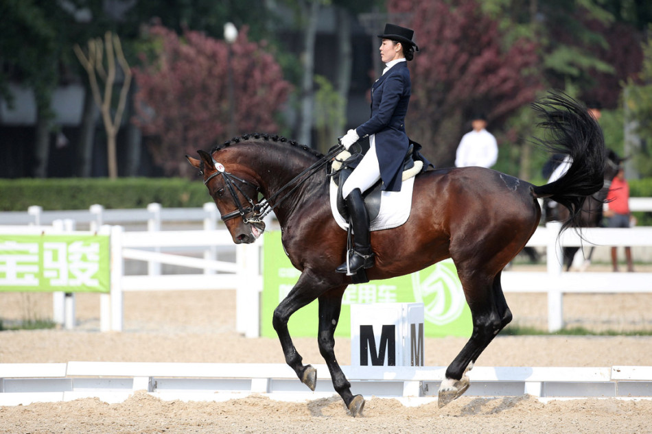 全国马术盛装舞步冠军赛_高清图集_新浪网